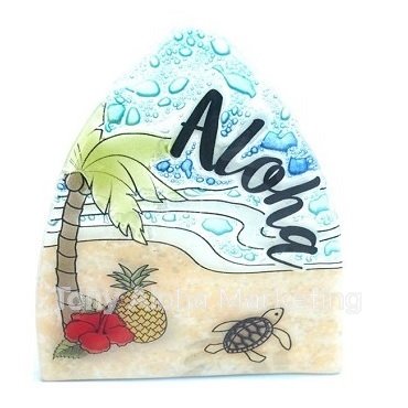 ڥȥ饹ۡڥʥȥ饤ȡBeach Turtle Scene - ɥĤ