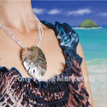 ڥͥå쥹ۥ󥹥ƥޥ֥ѡӡ2 - ɥĤ